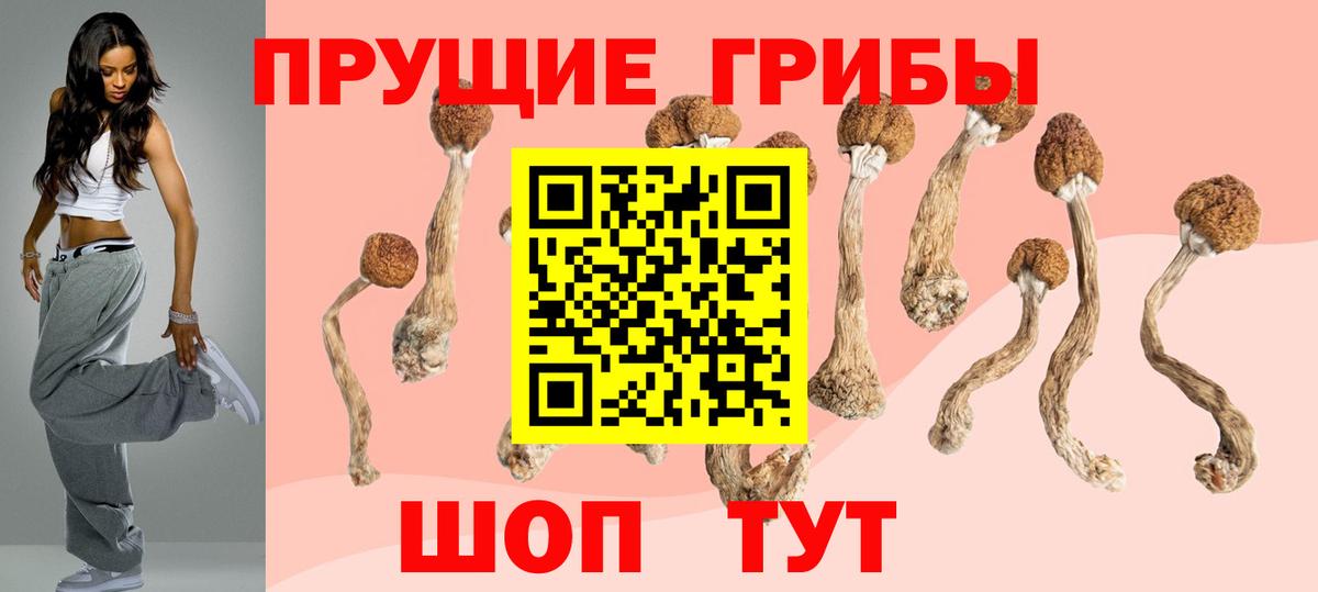 Галлюциногенные грибы MAGIC MUSHROOMS  Вход с VPN  Карталы 